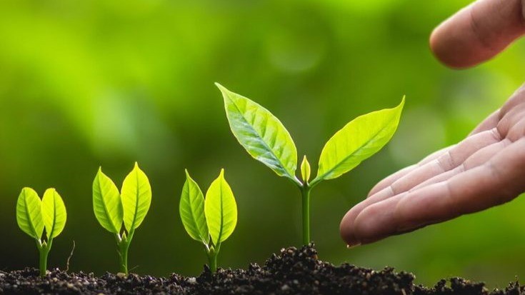 From Compliance to Commitment: How ISO Standards Guide Sustainable Growth